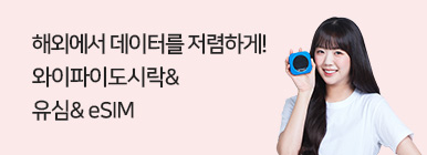 [MO]와이파이 도시락_20000018187