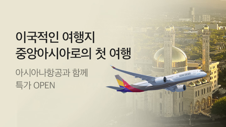 [MO][해외] 아시아나항공 CIS_RB0160