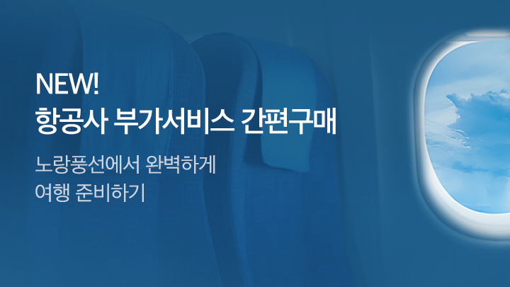 [MO][해외항공]항공사부가서비스간편구매_RB0258