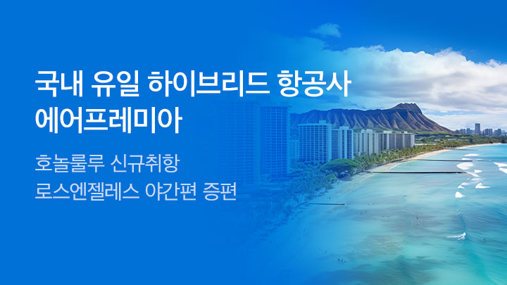 [MO][항공]에어프레미아 전략 VI_RB0201