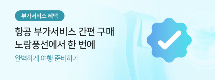 [MO][해외항공]항공부가서비스추가판매